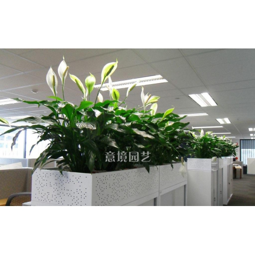 租賃案例