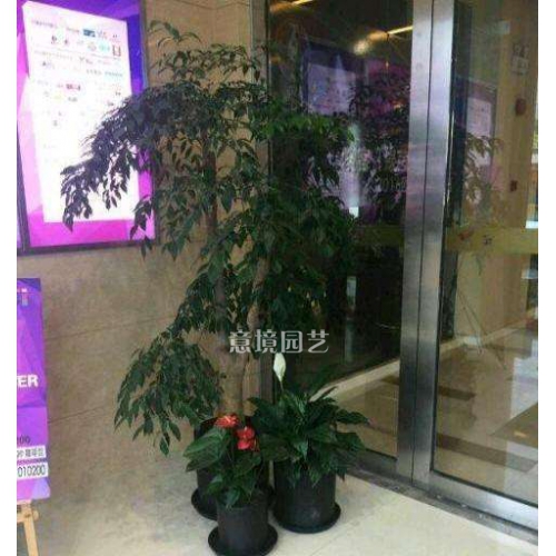 租賃案例