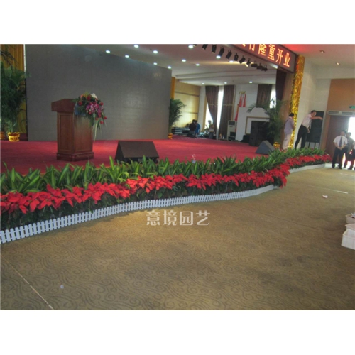 案例展示