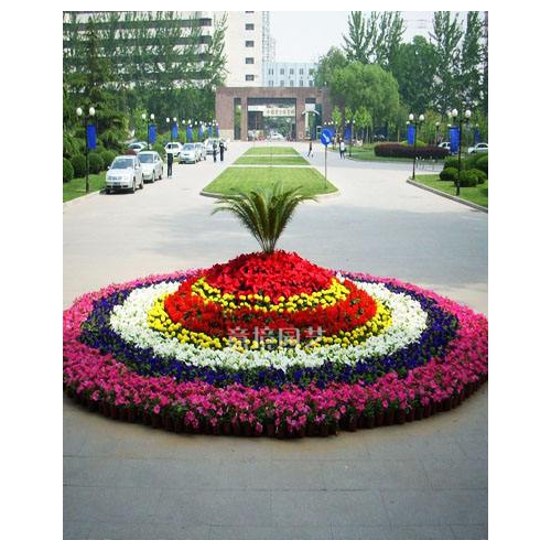 案例展示