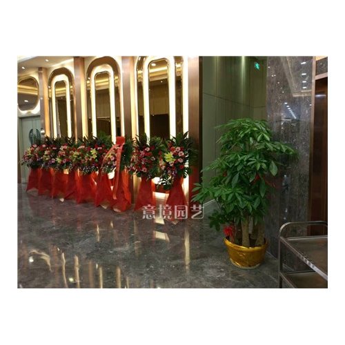 開業(yè)花籃